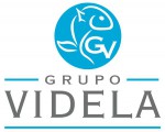Grupo Videla